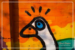 Street art, Rotterdam (47)