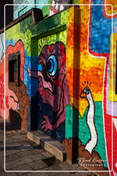 Street art, Rotterdam (48)