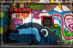 Street art, Rotterdam (49)