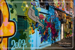 Street art, Rotterdam (58)