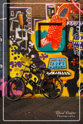 Street art, Rotterdam (60)