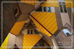 Rotterdam (70) Maisons cubiques