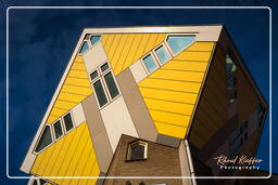 Cube houses, Rotterdam (81)