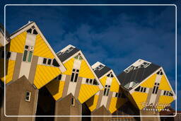 Cube houses, Rotterdam (82)