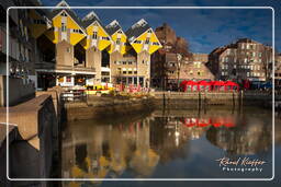 Rotterdam (83) Maisons cubiques