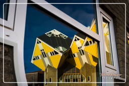 Cube houses, Rotterdam (85)
