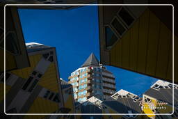 Cube houses, Rotterdam (93)