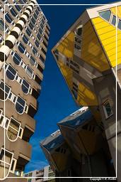 Rotterdam (97) Maisons cubiques