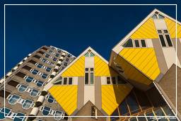Rotterdam (100) Maisons cubiques