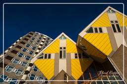 Rotterdam (100) Maisons cubiques