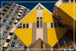 Rotterdam (101) Maisons cubiques