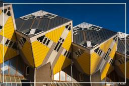 Rotterdam (103) Cube houses