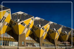 Cube houses, Rotterdam (104)