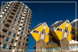 Rotterdam (105) Maisons cubiques