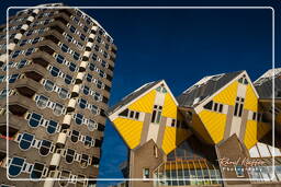 Rotterdam (105) Maisons cubiques