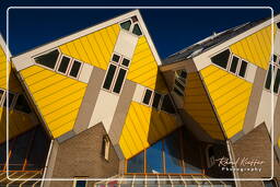 Rotterdam (106) Maisons cubiques