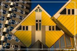Rotterdam (108) Maisons cubiques