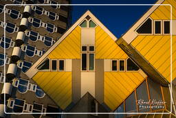 Rotterdam (108) Maisons cubiques