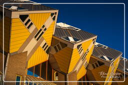 Cube houses, Rotterdam (109)
