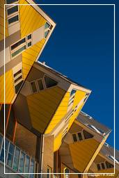 Rotterdam (111) Maisons cubiques