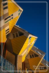 Rotterdam (111) Maisons cubiques