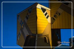 Rotterdam (114) Cube houses