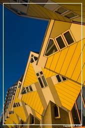 Rotterdam (117) Maisons cubiques