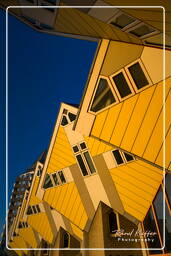 Rotterdam (117) Maisons cubiques