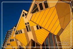 Cube houses, Rotterdam (118)