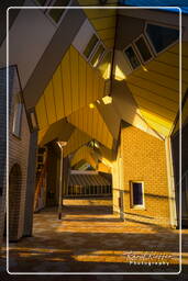 Cube houses, Rotterdam (120)