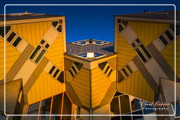 Rotterdam (142) Maisons cubiques