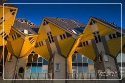 Rotterdam (144) Maisons cubiques