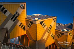 Rotterdam (148) Cube houses