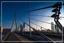 Rotterdam (158) Erasmusbrücke