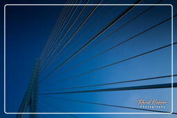 Erasmus bridge, Rotterdam (162)