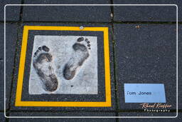 Rotterdam (165) Walk of Fame Europe (Tom Jones)