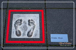 Roterdão (166) Walk of Fame Europe (Chaka Khan)