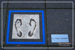 Walk of Fame Europe (La Toya Jackson), Rotterdam (167)