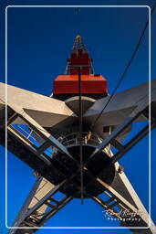 Rotterdam (171) Alter Hafen