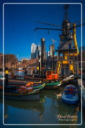 Rotterdam (174) Old harbour