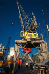 Rotterdam (175) Alter Hafen