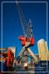 Rotterdam (176) Old harbour