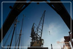 Old harbour, Rotterdam (179)