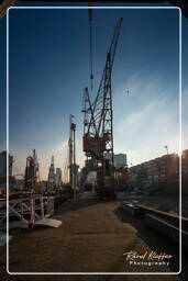 Old harbour, Rotterdam (180)