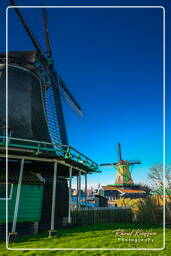 Zaanse Schans (45)