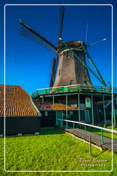 Zaanse Schans (56)