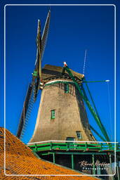 Zaanse Schans (61)