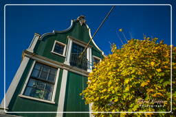 Zaanse Schans (95)