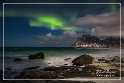 Aurora Borealis (Lofoten) (51)