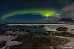Aurora Borealis (Lofoten) (53)